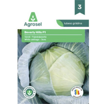 Plic cu semințe de varză albă Beverly Hills F1 de la Agrosel cu Agrosel Logo și o varză.