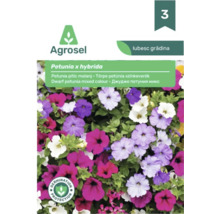 Plic cu semințe Agrosel pentru Petunia x hybrida, amestec de culori de petunii pitice cu sigiliu de protecție a germinației și Agrosel Logo.