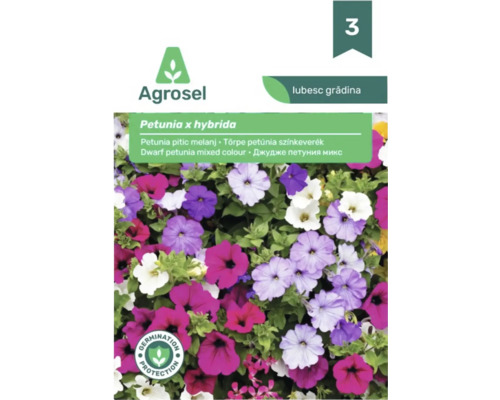 Plic cu semințe Agrosel pentru Petunia x hybrida, amestec de culori de petunii pitice cu sigiliu de protecție a germinației și Agrosel Logo.
