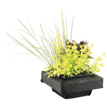 Insulă plutitoare pentru iaz cu diverse plante de iaz și ierburi într-un coș de plantare din material textil negru.