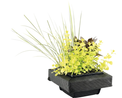 Insulă plutitoare pentru iaz cu diverse plante de iaz și ierburi într-un coș de plantare din material textil negru.