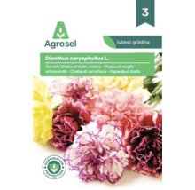 Agrosel Logo. Plic cu semințe garoafe Chabaud amestec Dianthus caryophyllus cu flori de garoafe și sigiliu pentru protecția germinării.