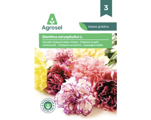 Agrosel Logo. Plic cu semințe garoafe Chabaud amestec Dianthus caryophyllus cu flori de garoafe și sigiliu pentru protecția germinării.