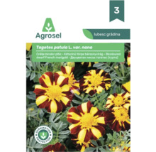 Plic semințe Agrosel Tagetes patula, crăițe bicolor pitic, cu protecție pentru germinare.