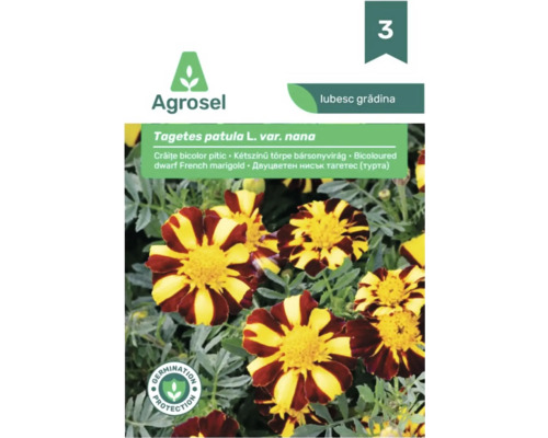 Plic semințe Agrosel Tagetes patula, crăițe bicolor pitic, cu protecție pentru germinare.