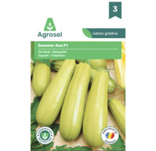 Agrosel Logo, plic cu semințe de dovlecel Summer Ace F1 cu imaginea unor dovlecei verzi deschis, protecție germinare și omologat în România.