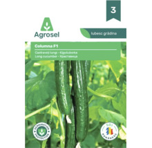 Agrosel Logo, plic semințe Columna F1 pentru castraveți lungi, imagine cu castraveți în creștere, sigilii pentru protecția germinației și soi românesc.
