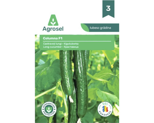Agrosel Logo, plic semințe Columna F1 pentru castraveți lungi, imagine cu castraveți în creștere, sigilii pentru protecția germinației și soi românesc.