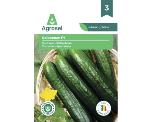 Logo Agrosel, semințe de castraveți Colosseum F1, castraveți lungi de salată într-un coș cu protecție pentru germinare și simbol de soi românesc.