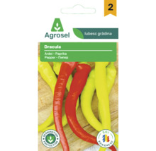 Agrosel Logo, semințe de ardei lungi din soiul Dracula, sigilii pentru protecția germinației și soi românesc.