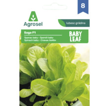 Plic cu semințe de spanac baby Agrosel Saga F1 cu Agrosel Logo.