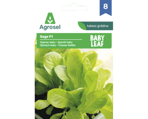 Plic cu semințe de spanac baby Agrosel Saga F1 cu Agrosel Logo.