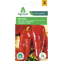 Plic cu semințe Agrosel pentru ardei lung Alexandru cu imaginea unor ardei lungi, simboluri pentru protecția germinației și soi românesc.