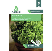Agrosel bandă de semințe pătrunjel de frunză Moss Curled 2, 3 ori 1,67 metri.