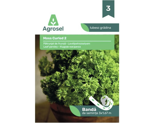 Agrosel bandă de semințe pătrunjel de frunză Moss Curled 2, 3 ori 1,67 metri.