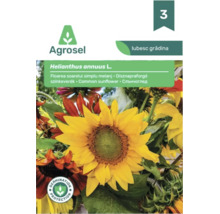 Plic cu semințe Agrosel pentru floarea soarelui Helianthus annuus cu imaginea unor flori galbene și roșiatice și sigiliu de protecție a germinării.