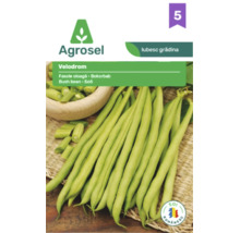 Logo Agrosel, semințe de fasole oloagă Velodrom, soi românesc, plic de semințe cu imaginea păstăilor de fasole.