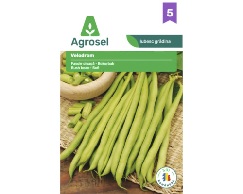 Logo Agrosel, semințe de fasole oloagă Velodrom, soi românesc, plic de semințe cu imaginea păstăilor de fasole.
