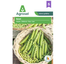 Plic de semințe Agrosel pentru mazăre Banat cu mazăre verde proaspătă în păstăi și boabe într-un coș de răchită.