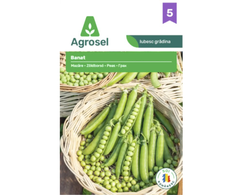 Plic de semințe Agrosel pentru mazăre Banat cu mazăre verde proaspătă în păstăi și boabe într-un coș de răchită.