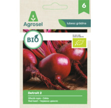 Agrosel Logo, semințe ecologice de sfeclă roșie Detroit 2 cu sigla Uniunii Europene pentru produse ecologice.