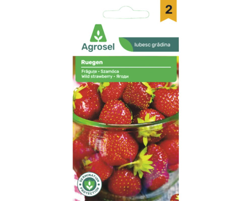 Plic semințe Agrosel frăguțe Ruegen cu imaginea unor fructe proaspete