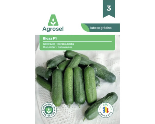 Agrosel Logo pe plic de semințe Bicaz F1 castraveți tip cornișon, cu imaginea fructelor, simbol de protecție a germinației și soi românesc.