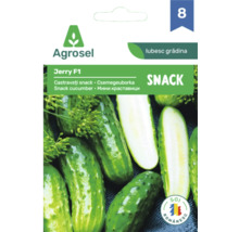 Plic de semințe pentru castraveți snack Jerry F1 de la Agrosel, soi românesc.