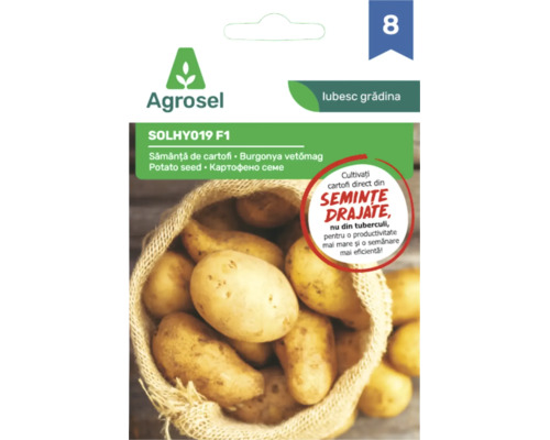 Semințe de cartofi Agrosel SOLHY019 F1, semințe drajate pentru cultivare directă din semințe, ilustrație sac de cartofi, Agrosel Logo.
