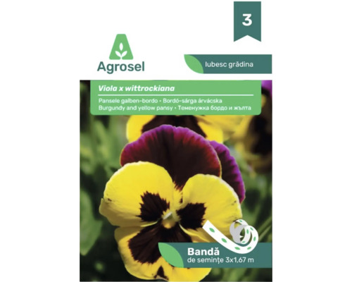 Agrosel bandă de semințe panseluțe Viola x wittrockiana galben-bordo 3 ori 1,67 metri.