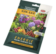 Logo Agrisol, îngrășământ universal lichid NPK 8.8.8, formulă echilibrată, 5 doze a câte 10 mililitri pentru flori, fructe și legume.
