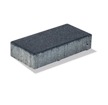 Pavaj dreptunghiular din beton cu suprafață texturată de culoare antracit.