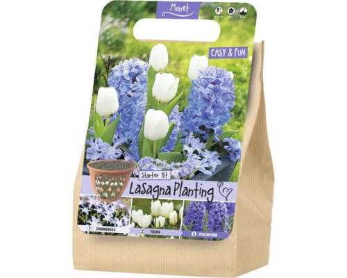 Monet Logo. Set Lasagna Planting cu bulbi de Chionodoxa, lalele și zambile. Schemă de plantare în straturi, înflorire din februarie până în aprilie.