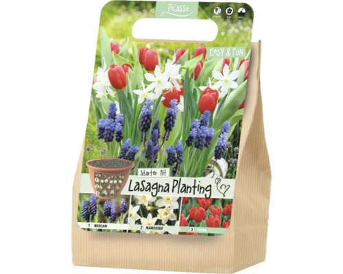 Set de pornire Picasso Lasagna Planting pentru plantarea în straturi cu bulbi de Muscari, narcise și lalele.