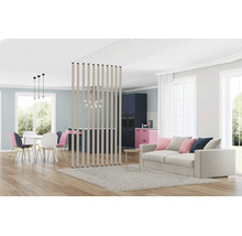 Zonă de zi modernă, deschisă, cu un paravan de separare din lamele verticale, canapea, zonă de luat masa și bucătărie într-un design luminos.