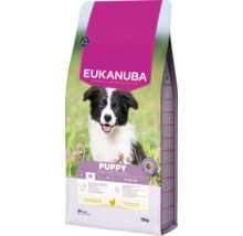 Hrană uscată Eukanuba Puppy pentru căței de talie medie de la 1 la 12 luni, cu pui proaspăt, sac de 15 kilograme.