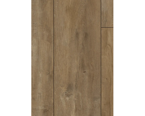 Parchet laminat KRONOTEX 8 mm stejar oriantal | HORNBACH