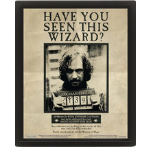 Poster Harry Potter Sirius Black Have You Seen This Wizard în ramă neagră