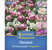 Mix de bulbi de flori Kiepenkerl Hanami MegaPack cu 25 de bucăți, conținând lalele, narcise, brândușe, zambile și anemone. Logo Kiepenkerl.