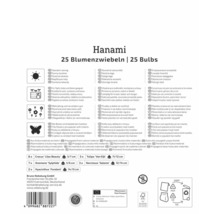 Spatele ambalajului Hanami cu 25 de bulbi, informații despre locație, ghivece, insecte, lista conținutului și FSC Logo.