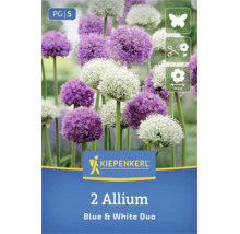 Bulbi Kiepenkerl 2 Allium Blue and White Duo, Logo Kiepenkerl, grupă de preț 5, atrage fluturii, flori tăiate, mărime floare 10 centimetri.