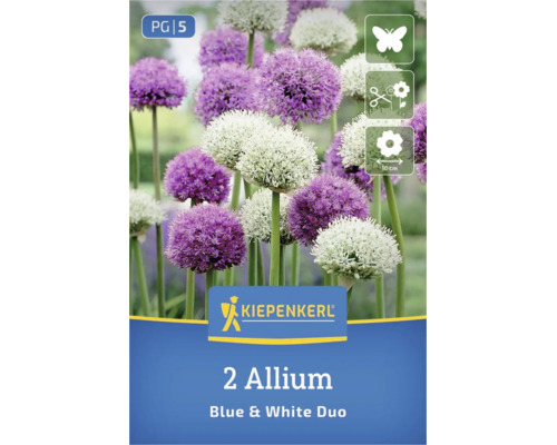 Bulbi Kiepenkerl 2 Allium Blue and White Duo, Logo Kiepenkerl, grupă de preț 5, atrage fluturii, flori tăiate, mărime floare 10 centimetri.