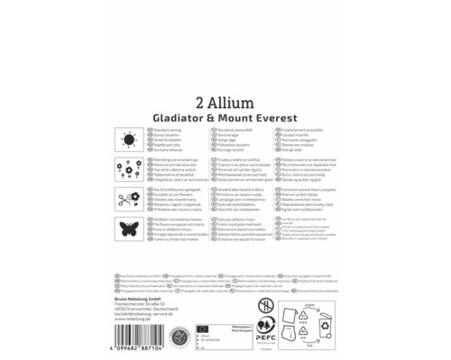 Spatele ambalajului pentru două Allium Gladiator și Mount Everest cu simboluri pentru locație însorită, perenitate, flori tăiate și insecte.