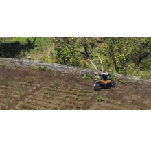 Motosapă pe un câmp cultivat cu plante tinere și un zid de piatră în fundal.