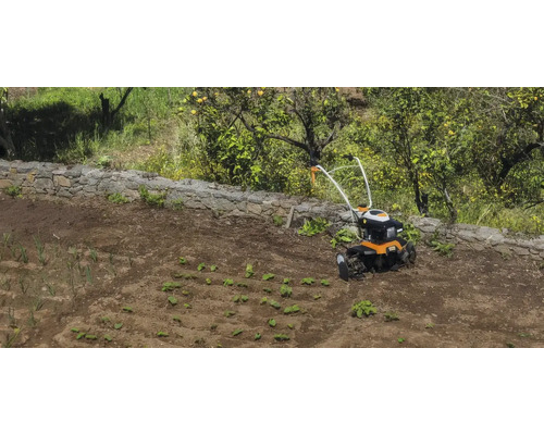 Motosapă pe un câmp cultivat cu plante tinere și un zid de piatră în fundal.