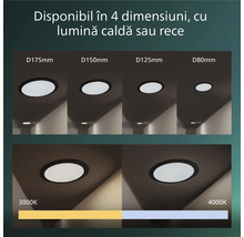 Corpuri de iluminat LED încastrate cu diametre de 80, 125, 150 și 175 milimetri și temperaturi de culoare de 3000 Kelvin și 4000 Kelvin.