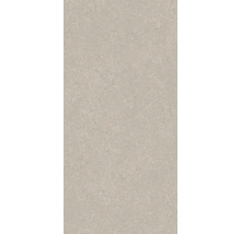 Placă ceramică cu aspect de beton și structură fină a suprafeței pentru perete și podea.
