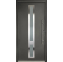 Ușă de intrare modernă de culoare antracit, cu decupaj vertical din sticlă și mâner tip bară din oțel inoxidabil.