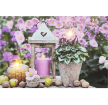 Decorațiune de toamnă cu felinar de lemn, lumânare, ciclamen în ghiveci, dovleac și nuci pe un fundal floral.