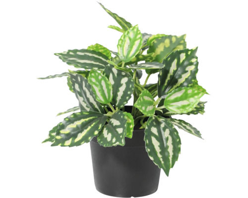 Plantă artificială Pilea în ghiveci negru din plastic.